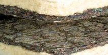 fiberpad nonwoven emulsions americas